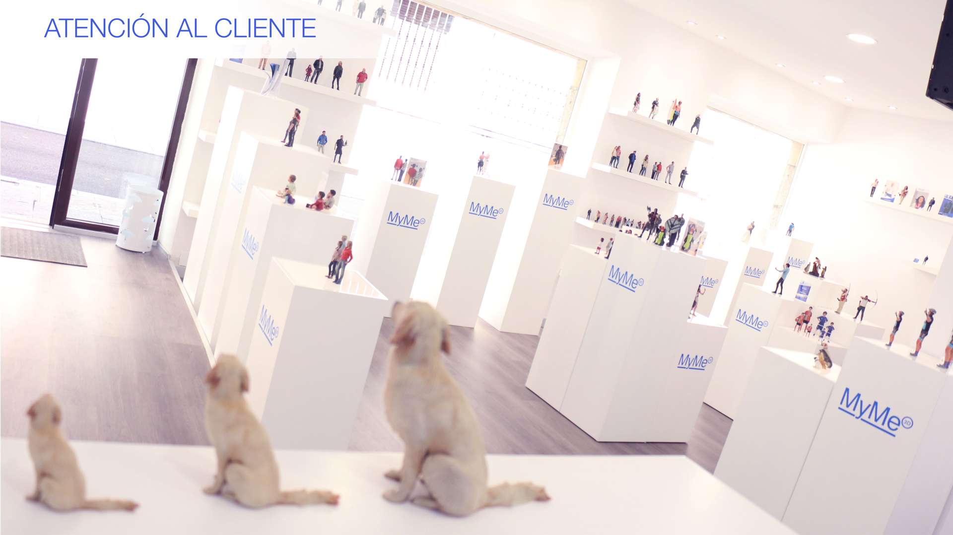 tienda 10
